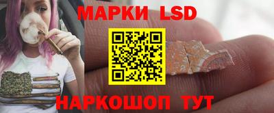 сатива Лесосибирск