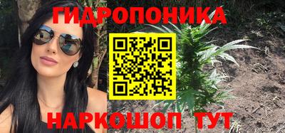 сатива Лесосибирск