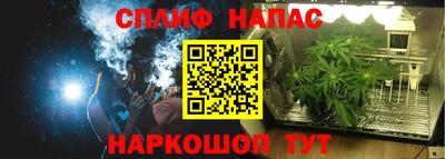 сатива Лесосибирск