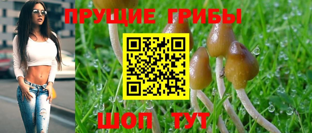 Галлюциногенные грибы MAGIC MUSHROOMS  Вход с VPN  Псилоцибиновые грибы ЛСД  Тосно 