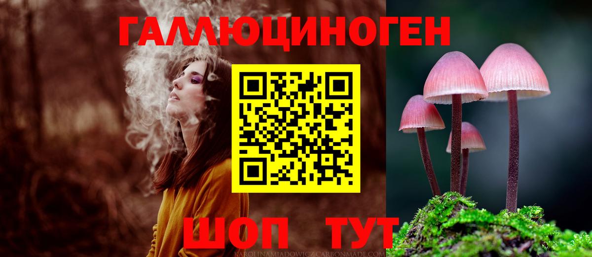 Галлюциногенные грибы Cubensis Тосно